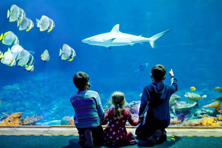 Familjebesök på akvariet