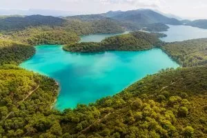 Mljet from above